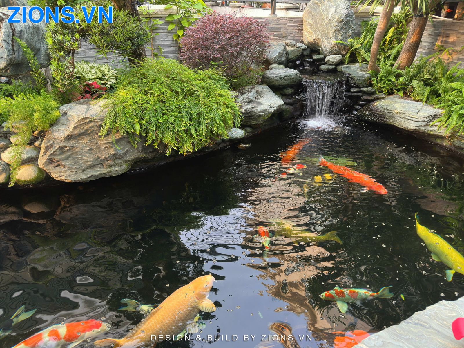 ho-ca-koi